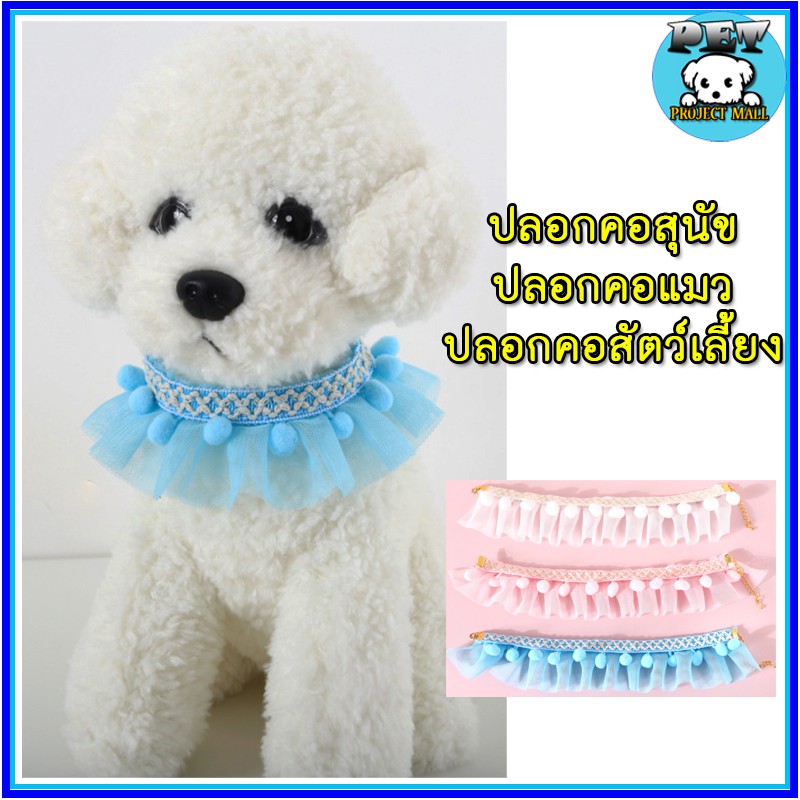 PP-065 ปลอกคอสัตว์เลี้ยงสำหรับแมวและสุนัข ดีไซน์ลูกไม้สุดน่ารัก