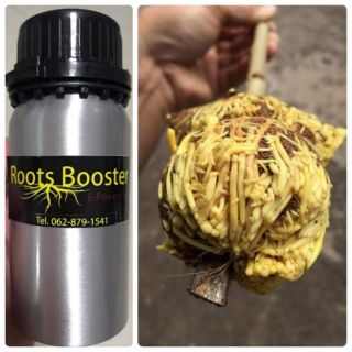 น้ํายาเร่งราก น้ำยาเร่งรากคุณภาพสูง ROOTS BOOSTER /250ml