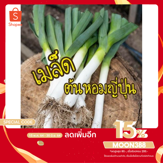 เมล็ด ต้นหอมญี่ปุ่น100 เมล็ด 10บาทเมล็ดแท้นำเข้า