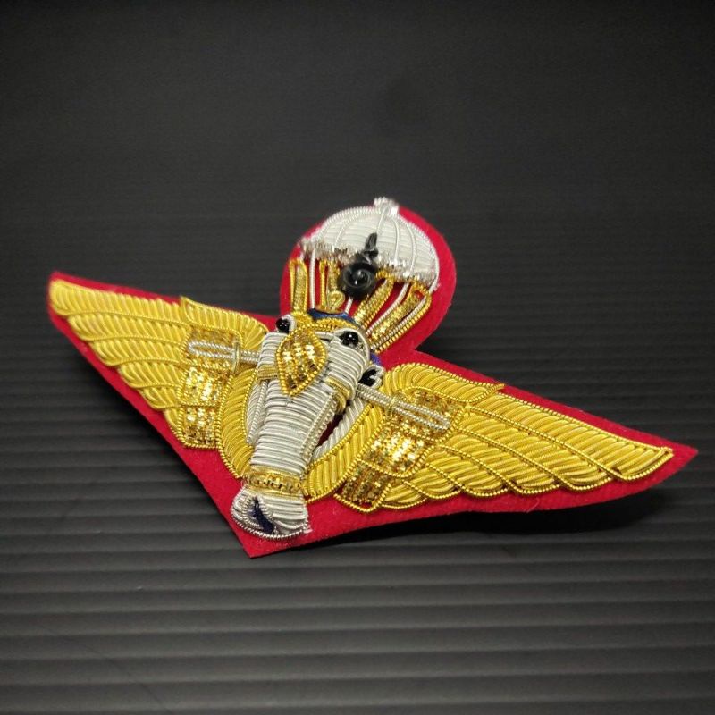 ปีกดิ้นส่งกำลังทางอากาศ airborne  ทบ.