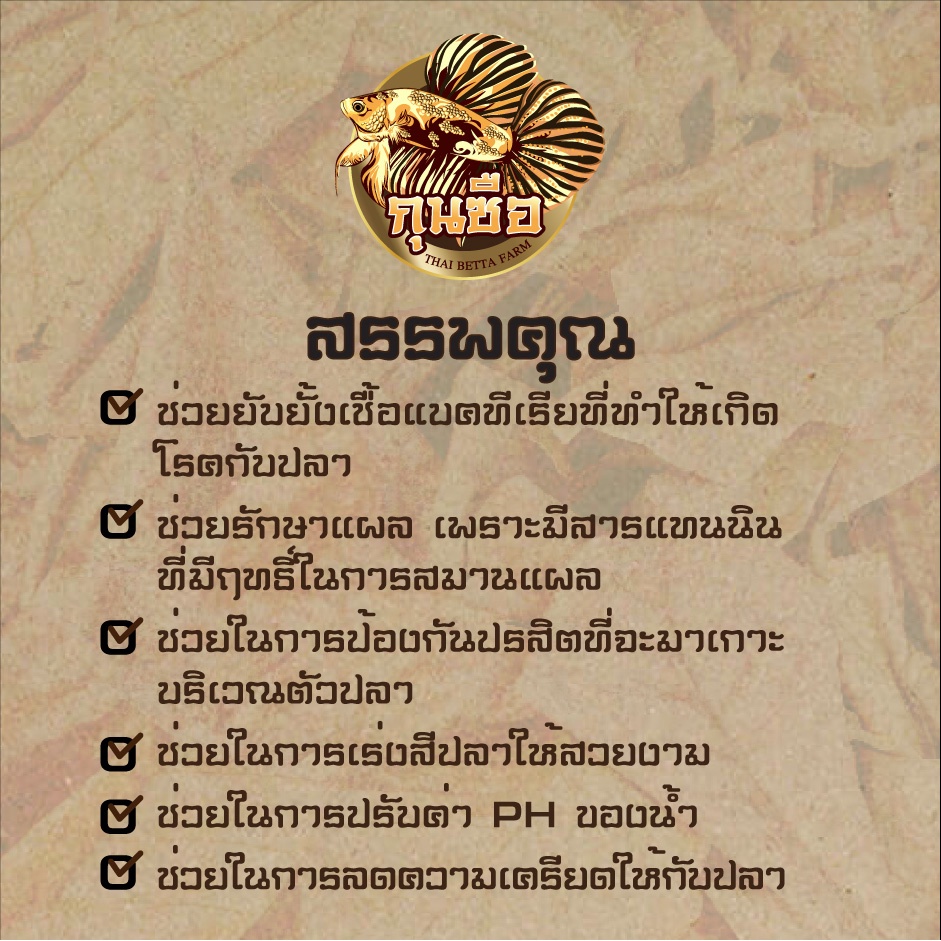 รูปภาพ 2