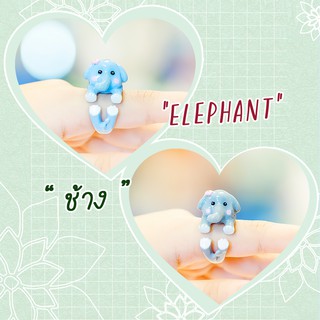 Ring / แหวน : Elephant / ช้าง