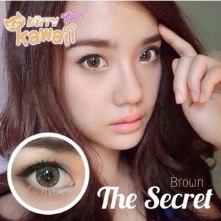 🏹Bigeyes/Mini The Secret Brown 🏹สายตาปกติ,-0.75-4.50(Kitty  kawaii)