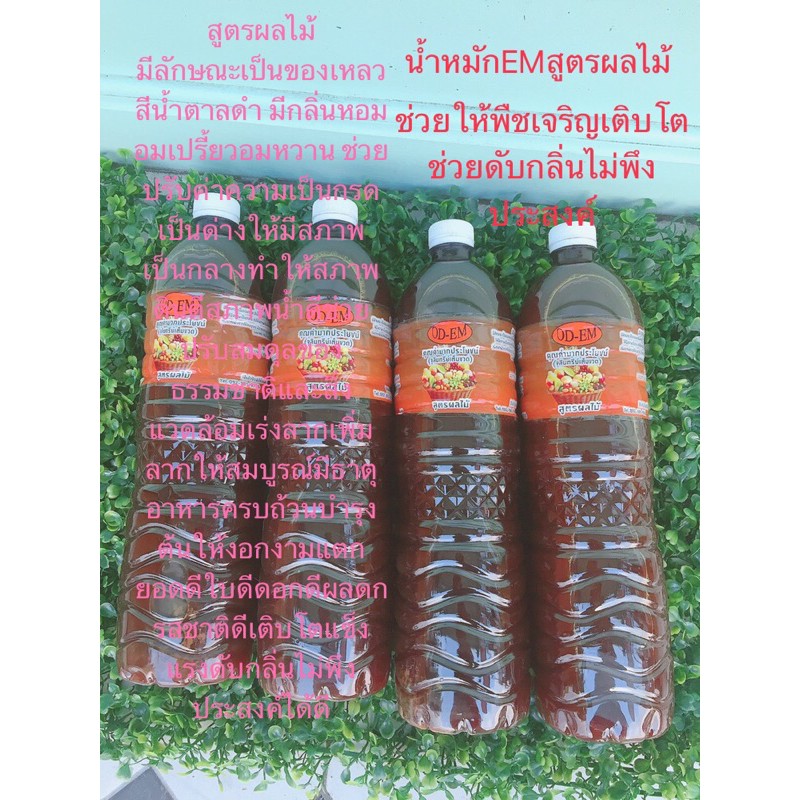 EM จุลินทรีย์เต็มขวด)สูตรผลไม้