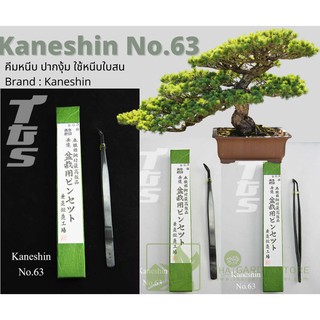 NO.63KANESHIN TWEEZERS (FOR PINE) ANGLE POINT