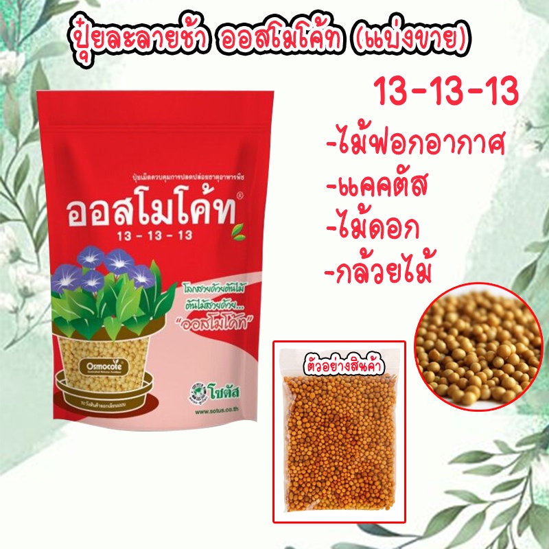 ปุ๋ยออสโมโค้ท สูตร 13-13-13 ราคา บำรุงต้น ใบ ไม้ฟอกอากาศ แคคตัส ไม้ดอก