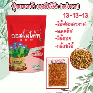 &lt;แบ่งขาย&gt;ปุ๋ยออสโมโค้ท ปุ๋ยสูตรเสมอ 13-13-13 ราคา 9-20 บาท ถูกที่สุด บำรุงต้น ราก ใบ ไม้ฟอกอากาศ แคคตัส ไม้ดอก