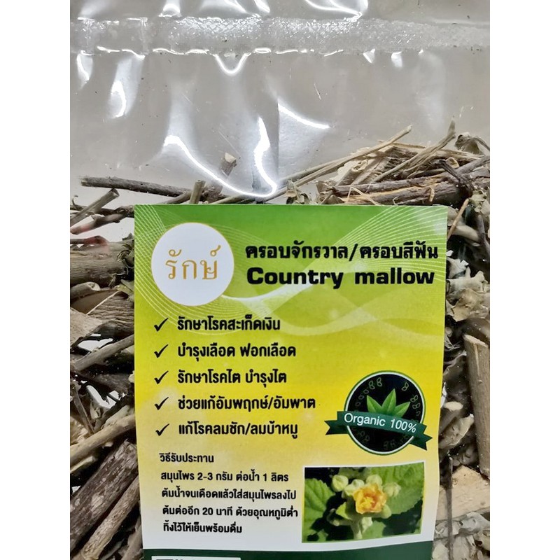 รูปภาพ 2