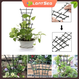 สวนพลาสติก Mini Potted ผู้ถือ Trellis DIY พืชเถาวัลย์เลื้อย 2Pcs อุปกรณ์กรอบเถาไม้เลื้อยสําหรับกระถางต้นไม้