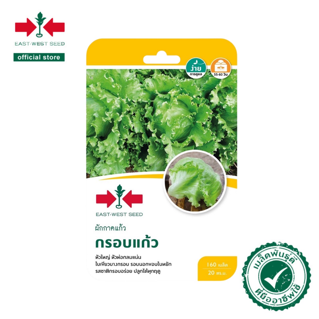 ศรแดง เมล็ดพันธุ์ผักกาดคอส คิงส์คอส (East-West Seed) เมล็ดพันธุ์ ผักสวนครัว ตราศรแดง
