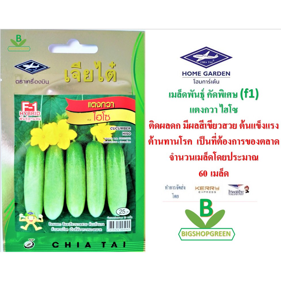 5 ฟรี 1 คละได้ เมล็ดพันธุ์ แตงกวาไฮโซ ตรา เจียไต๋ เมล็ดพันธุ์คัดพิเศษ F1 เมล็ดผัก เมล็ดพันธุ์พืช เมล็ดพืช