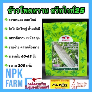 ข้าวโพดหวาน สวีทไวท์ 25 ขนาด 200 กรัม เมล็ดพันธุ์ ลอตใหม่ งอกดี ข้าวโพด ศรแดง เมล็ดสีขาว รสชาติเหนึยว นุ่ม หวาน ขายง่าย