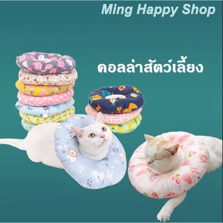 Ming คอลล่าสัตว์เลี้ยง ปลอกคอกันเลีย คอลล่ากันเลียหมาและแมว พร้อมส่ง