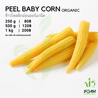 ข้าวโพดฝักอ่อนออร์แกนิค Organic Peel Baby Corn มาตรฐานออร์แกนิค IFOAM ผักสลัด ผักสด เก็บ-แพ็ค-ส่ง เก็บใหม่ทุกออเดอร์