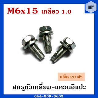 สกรูหัวเหลี่ยม+แหวนอีแปะ ขนาดM6 เกลียว1.0 ยาว15 (แพ็ค20ตัว)