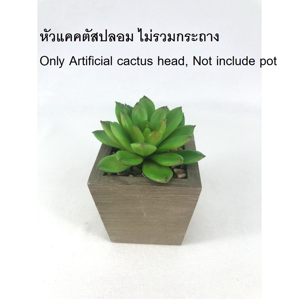 พืชปลอม Echeveria head (เฉพาะหัว ไม่รวมกระถาง) ไม้อวบน้ำปลอม สวยเหมือนของจริง (R-005 NP Green)