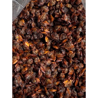 หอยลายกรอบ รสเด็ด น้ำหนัก 500 กรัม /ร้านแม่แขทะเลแห้ง /จัดส่…