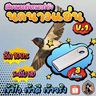 เสียงเรียกนกนางแอ่นทำรังV.1 เสียงภายนอก แฟลชไดร์ฟเสียงนกนางแอ่น ชัด เสียงใส ไม่มีโฆษณาแทรก พร้อมส่ง! มีเก็บเงินปลายทาง!!