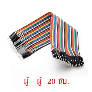สายจัมป์ 20 ซม. มีให้เลือก 3 แบบ Jumper Wire 20cm.