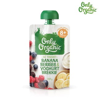 Only Organic กล้วย เบอร์รี &amp; โยเกิร์ต , Organic Baby foods 8+ Months