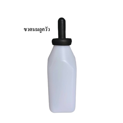(ราคาส่ง)ขวดนมวัว จุกนมวัว ขวดนมวัว2ลิตร