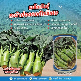 เมล็ดพันธุ์คะน้าเห็ดหอม ขนาด 50 กรัม