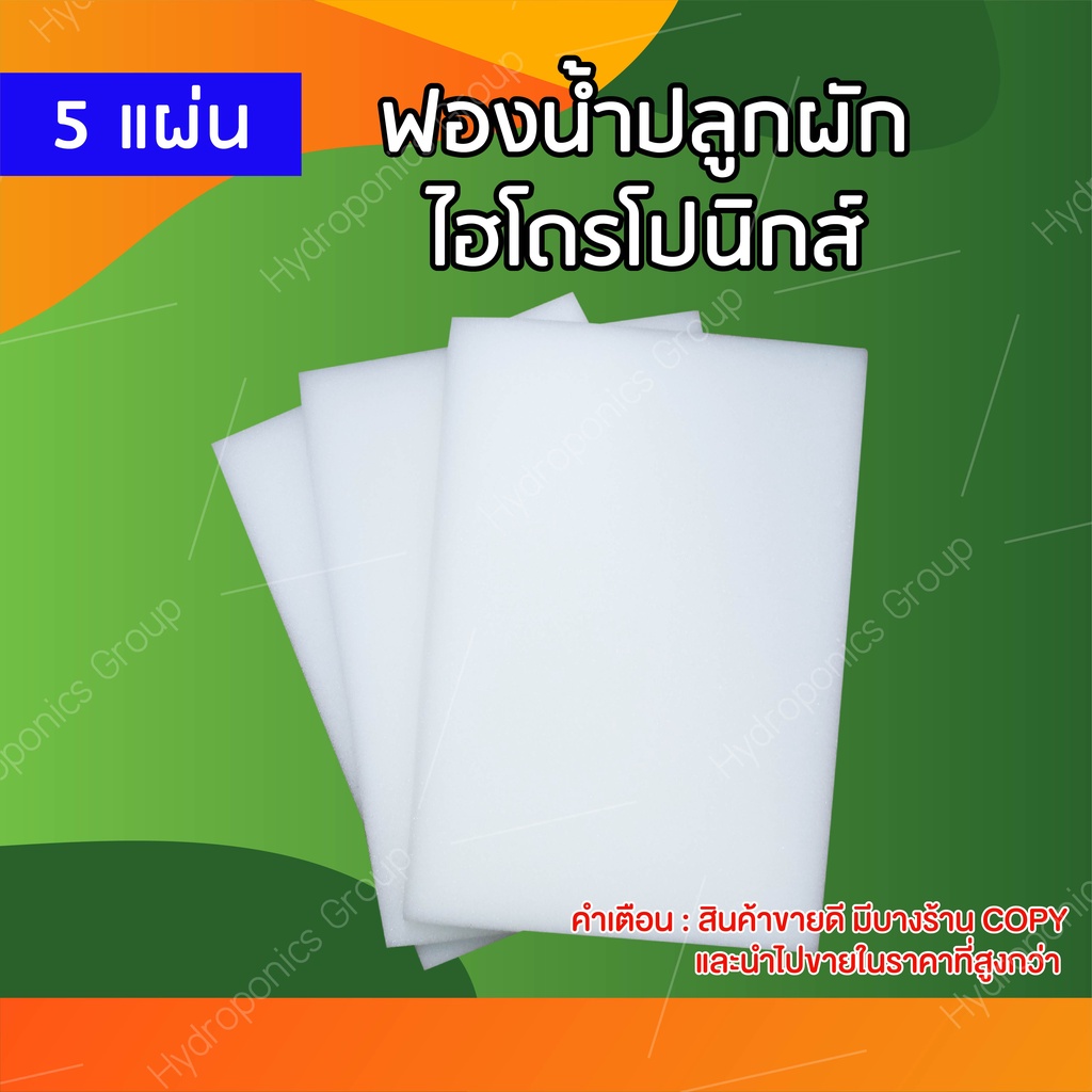 ฟองน้ำปลูกผักไฮโดรโปนิกส์คุณภาพดี  5  แผ่น by hydroponicgroup ราคา ถูกที่สุด ดีลบีเคเค