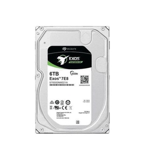 HARDDISK ENTERPRISE ST6000NM021A