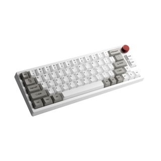 Lychee G66/G66 Pro G66pro RGB แป้นพิมพ์แบบกลไก สามโหมด ไร้สายบลูทูธ 2.4g USB TYPE-C South facing 65%