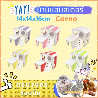 [hamster travel] บ้าน Carno บ้านแฮมสเตอร์ บ้านใหญ่หลังคาโค้ง 2ชั้น