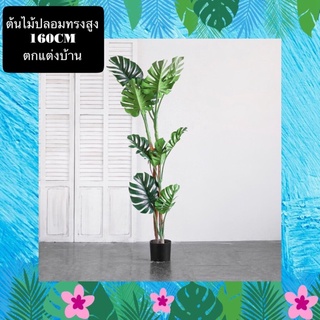 TS061J018 TROPACL ต้นไม้ปลอมตกแต่งบ้าน ต้นมอนสเตอร่า 160ซม. ARTIFICIAL PLANT ต้นไม้ปลอม ต้นไม้แต่งห้อง ต้นไม้ทรงสูง