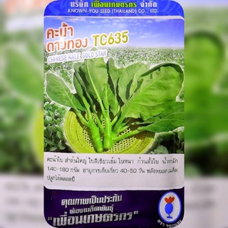 คะน้าดาวทอง ทีซี635 Chinese Kale เพือนเกษตร