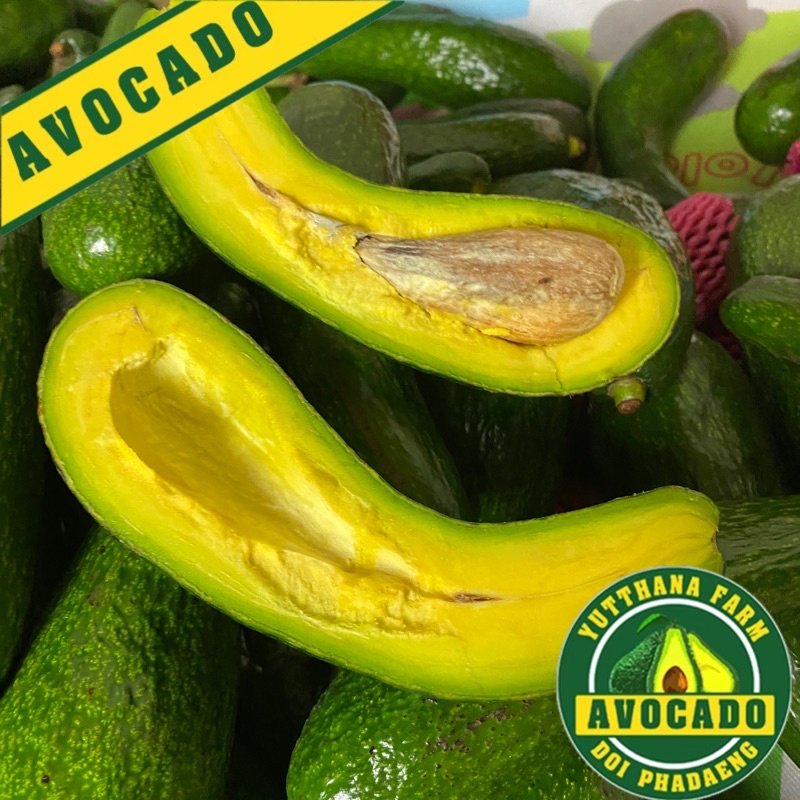 avocado พันธุ์ A034 รสชาติมันนิ่ม (3กก.)พร้อมส่งจ.เชียงใหม่