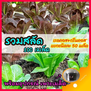 เมล็ดผักสลัด เมล็ดพันธุ์ผักสลัด รวม 2 ชนิด เรดคอส (Red Cos) + กรีนคอส (Green Cos) รวม 100 เมล็ด พร้อมอุปกรณ์เพาะเมล็ด