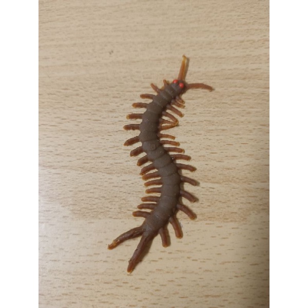 ตะขาบปลอม ตะขาบยาง ปาร์ตี้ฮาโลวีน ตะขาบสีน้ำตาล มี3ขนาด✌ - รูปที่ 3