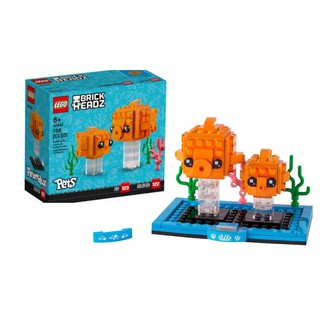 LEGO 40442 Brick Headz: Goldfish ปลาทอง น่ารัก ของแท้ 100% พร้อมส่ง #LEGO DAD