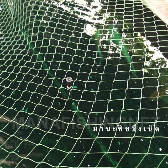 ตาข่ายคลุมบ่อปลา ปลาคาร์พ ปลาเลี้ยง สระน้ำ อ่างเลี้ยงปลา UV Protection