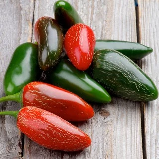 เมล็ดพริกจาราปิโน่ (Jalapeno Pepper) 100 มล็ด พริกแม็กซิกัน สายพันธุ์ OP