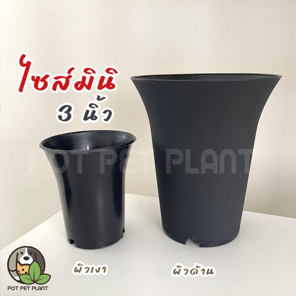 [ขั้นต่ำ2ใบ] กระถางปากแตร 3 นิ้ว กระถางต้นไม้ กระถางแคคตัส - 0064
