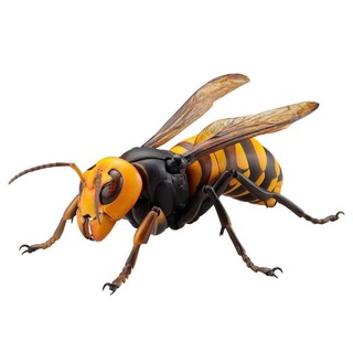 REVOGEO Vol.3 Japanese Giant Hornet (ต่อยักษ์)