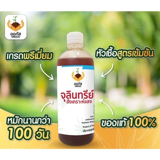 จุลินทรีย์สังเคราะห์แสง PSB แท้ 100% AGUS สูตรเข้มข้น ใช้เป็นหัวเชื้อ น้ำยา เร่ง ราก ดอก ใบ ไม้ด่าง ไร้สารเคมี แคคตัส