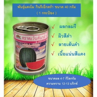 เมล็ดพันธุ์เเตงโม กินรี เอ็กตร้า ขนาด 40 กรัม (จำนวน 1 กระป๋อง)