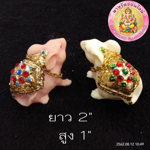 หนูมุสิกะปิดทอง-เล็กตัวละ