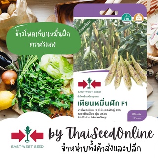 GGEW ข้าวโพดข้าวเหนียวเทียนหมื่นฝัก 80 เมล็ด ตราศรแดง Corn