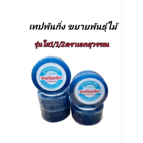 เทปพันกิ่งไม้ ทาบไม้ ขยายกิ่ง ขนาด1/1/2 ตราเอกสุวรรณรุ่นใส