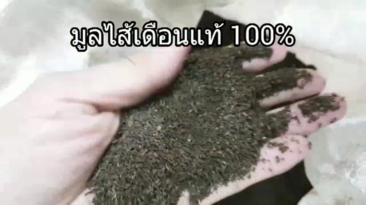 Best saller ปุ๋ยมูลไส้เดือนแท้ 100% จากไส้เดือนพันธุ์ AF ความชื้นต่ำ ได้ปริมาณเยอะ บำรุงต้น ใบ ส่งเสริมการติดดอก เมล็ดฟ้าทะลายโจร เมล็ดแคนตัส เมล็ดผัก เมล็ดพืช กล้วยไม้