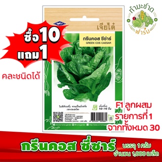 (ซื้อ10แถม1) เมล็ดพันธุ์ กรีนคอส ซีซาร์ Green Cos Caesar ประมาณ 1,000เมล็ด เจียไต๋ เมล็ดพันธุ์พืช เมล็ดพันธุ์ผัก