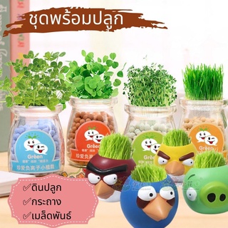 ตุ๊กตาหัวหญ้า เซรามิก/ขวดแก้ว Garden mini ต้นไม้จิ๋ว ชุดปลูกต้นไม้จิ๋ว มินิพืช DIY ชุดปลูกผัก ของขวัญ ของฝาก ของชำร่วย