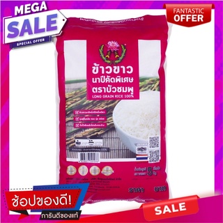 บัวชมพู ข้าวขาวนาปีคัดพิเศษ 100% 5 กิโลกรัม Bua Chomphu Long Grain Rice 100% 5 kg