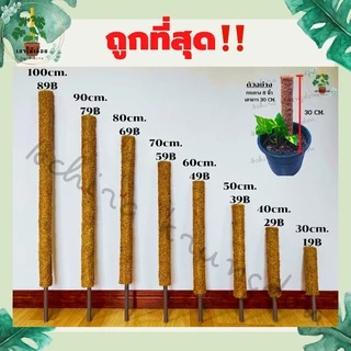 หลักไม้เลื้อย เสาไม้เลื้อย เสาใยมะพร้าว สวย คุณภาพดี แข็งแรง ทนทาน ราคาถูก ถูกที่สุด